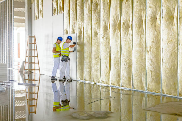 Best Blown-In Insulation  in Foley, AL